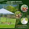 LAOTIES 13×8FT Large Metal Chicken Coop,Heavy Duty Steel Poultry Cage With Waterproof UV Cover,Hexagonal Wire Run For Chickens And Ducks - 3 of 4