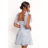 Petal and Pup Evangeline Mini Dress - 3 of 4