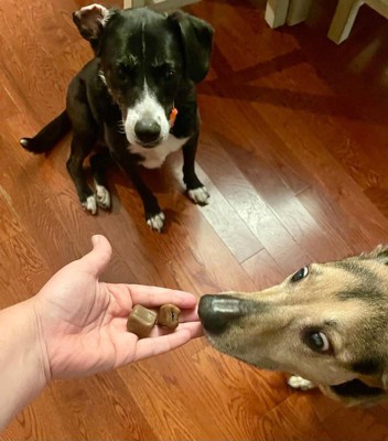 Guest review image 1 of 2, zoom in