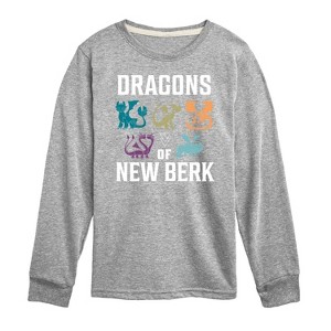 Boys' - How to Train Your Dragon - Dragons Of New Berk Long Sleeve Graphic T-Shirt - 1 of 4