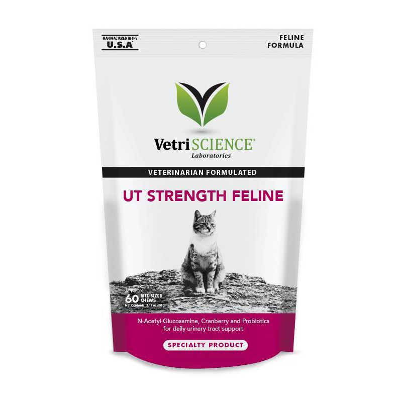 VetriScience UT Strength Feline Urinary Tract Support for Cats, Chicken Liver Flavor Bite-Sized Chews, 60 ct, 1 of 4