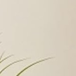 4 layer 90cm foldable cabinet