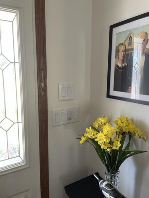 Guest review image 2 of 6, zoom in