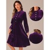 Allegra K Women's Velvet Mock Neck Button Front Ruffle Vintage Flared Dresses - 2 of 4
