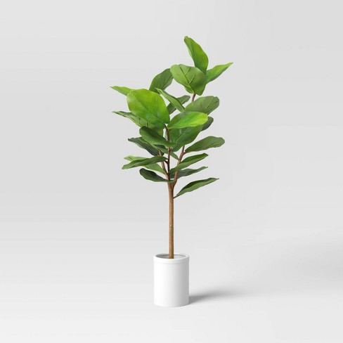 Fiddle Leaf Fig Silk Tree