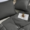 BAGOKIE 2/3 Pieces Comforter Set Box Stitched Bed Set for All Seasons - 2 of 4