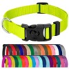 Country Brook Petz American Made Deluxe Nylon Dog Collar - 2 of 4