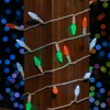 Novelty Lights C6 LED Christmas String Lights 70 Strawberry Bulbs (Green Wire, 24 Feet) - 4 of 4