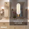 Bulbrite Set of 4 40W T8 Incandescent Dimmable Light Bulbs: Edison Medium Base, Decorative, 2200K, 2-Year Life - 3 of 4