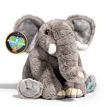 FAO Schwarz 10" Planet Love Recycled Bottle Elephant Toy Plush
