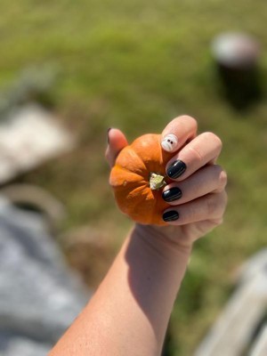 Guest review image 4 of 5, zoom in