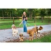 Country Brook Petz American Made Deluxe Nylon Dog Collar - 4 of 4