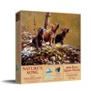 Sunsout Nature's Song 500 pc   Jigsaw Puzzle 56478 - 2 of 4