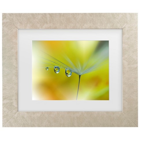 Trademark Fine Art - Juliana Nan Sunbeam III Matted Framed Art - image 1 of 4