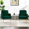Set of 2 Rosa Transitional Comfy Living Room Armchair with Metal Legs | ARTFUL LIVING DESIGN - 2 of 4