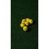 Divot Board Foam Golf Balls 9pk - 4 of 4