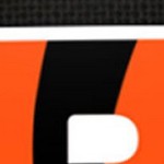 cincinnati bengals