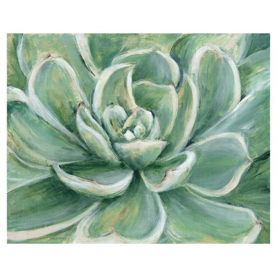 22" x 28" Succulent by Marilyn Dunlap Art on Canvas - Fine Art Canvas