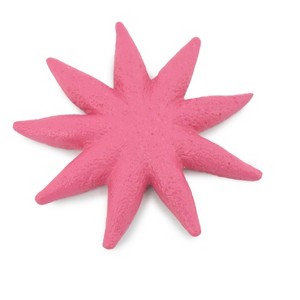 Collectible Wildlife Gifts | Starfish, Sun Star, Purple, Echinoderms, Asteroidea, Ocean, Sea Life, Plastic ,  Toy, Gift,  2 1/4  "  F930 B158 - 1 of 4