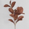Magnolia Stem Brown - Threshold™ - image 2 of 4