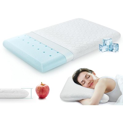 FAPO Ultra Thin Memory Foam Pillows - Height 2.75 in Slow Rebound Gel Foam Supportive Pillow,Removable Pillow Case (Queen-26”x16”)