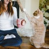 Pavilion Gift Company - Cat Mom - 16 oz Cup - Drinkware - 2 of 4