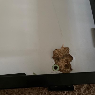 Guest review image 1 of 1, zoom in