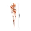 Unique Bargains Natural Dried Baby's Breath Flowers Branches for Wedding Party Decoration Orange 1 Pc - 2 of 4