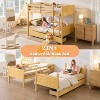 AMERLIFE Twin Over Twin Bunk Bed with Storage Drawers, Solid Rubberwood Convertible Loft Bed Frame with Ladders, Detachable Bed for Kids - 3 of 4