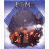 Warner Bros. Harry Potter Guide Us Hagrid Silk Touch Throw Blanket 50x60 Inches - 2 of 4