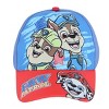 Textiel Trade Boys Nickelodeon Paw Patrol Baseball Cap and Sunglasses Set - 2 of 4