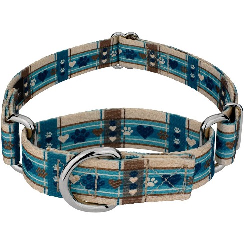 Country Brook Petz Puppy Picnic Martingale Dog Collar - image 1 of 4