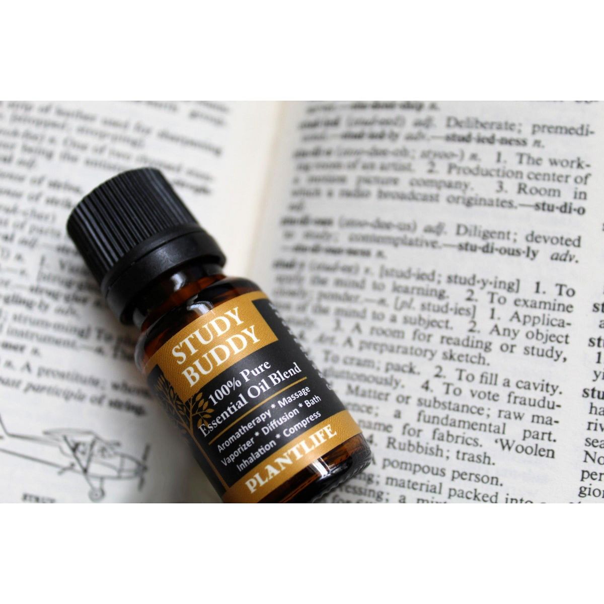 Plantlife Study Buddy Essential Oil Blend – 100% Pure & Therapeutic Grade – Natural, Undiluted & Focus-Boosting – No Additives or Fillers – 10ml - thumbnail 4