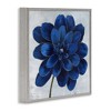 Stupell Industries Modern Deep Blue Floral Carnation, 17" x 17" - 3 of 4