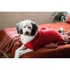 Midlee Red Dog Pajamas - 4 of 4