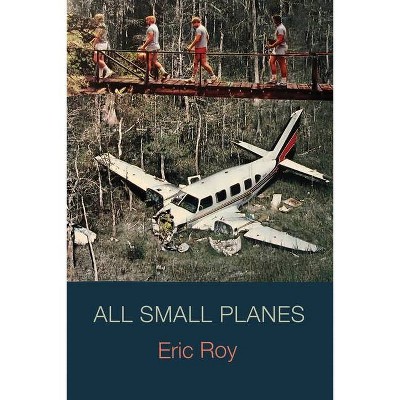 All Small Planes - by  Eric Roy (Paperback)