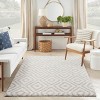 Nourison Modern Shag 5'3" x 7' Ivory Silver Indoor Rug - 4 of 4
