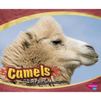 Camels - (Asian Animals) by  Lyn A Sirota (Paperback)