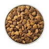 Purina ONE +Plus Joint Health Natural Chicken Flavor Dry Dog Food - 8lbs - 2 of 4