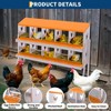 Chicken Nesting Boxes, Hole Roll Away Nest Box for Chicken Coop, Metal Egg Laying Box with Lid Cover to Protect Eggs, Rollout Egg Collection - 4 of 4