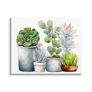 Stupell Industries Mixed Botanicals Floral Succulents Canvas Wall Art