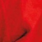 clear push pins bundle