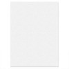 Tru-Ray Construction Paper, Heavyweight, White, 9" x 12", 50 Sheets Per Pack, 10 Packs - 4 of 4