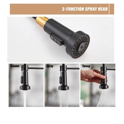 Matte Black and Brushed Gold Stainless Steel Pull-Down Kitchen Faucet