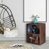 Costway 2 Tier Open Shelf Night Stand End Table Sofa Side Storage Display Furni Walnut - 4 of 4