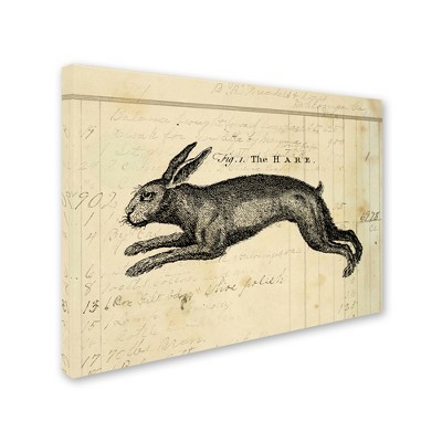 Trademark Fine Art -Marcee Duggar 'The Hare' Canvas Art