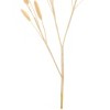 Bunny Tail Flocked Spray Set of 6 23 Inch Height for Seasonal Decorating By Melrose - 3 of 3