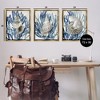 Stupell Industries Trio of Shells & Coral, 25" x 31" - 3 of 4