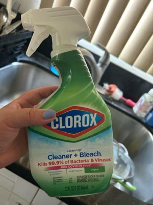 Clorox Rain Clean Scent Clean-up All Purpose Cleaner With Bleach Spray ...