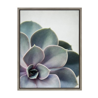 18" x 24" Sylvie Succulent 5 Framed Canvas by F2 Images Gray - Kate & Laurel All Things Decor